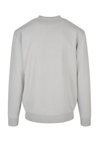 Felpa grigia chiara con collo a giro, maniche lunghe, polsini e orlo a coste, texture liscia e design minimalista. Visualizzazione del retro.