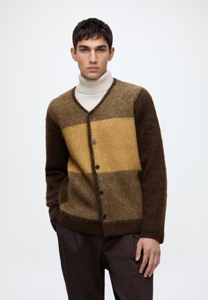 Jeune homme portant un cardigan boutonné rayé marron et beige sur un col roulé blanc, debout devant un fond clair uni.