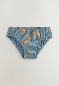 Blå bomulds boyshorts med dinosaur mønster. Teksturen er glat; elastisk linning. Designet inkluderer brune dinosaurer med hvide pletter.