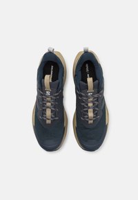 Salomon ELIXIR ACTIV - Obuća za pješačenje - carbon/slate green/glacier gray