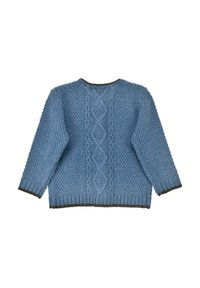 Hellblauer Strickpullover mit strukturiertem Muster, das ein Zopfmuster entlang des Rückens und braune Akzente am Kragen und an den Bündchen aufweist.