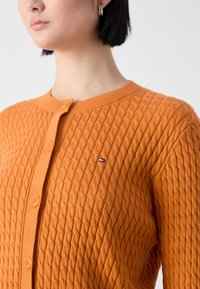 Tommy Hilfiger Casaco de malha - autumn orange