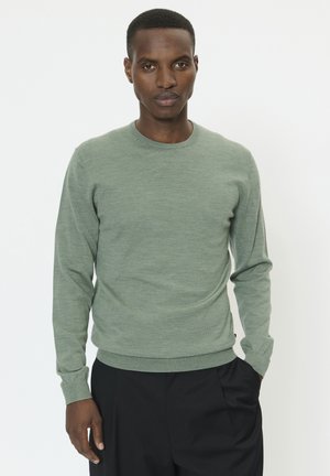 Mand iført en lysegrøn langærmet sweater og sorte bukser, der står mod en ensartet hvid baggrund.