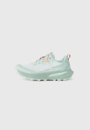 PEREGRINE 15 - Trail running shoes - mist/aloe