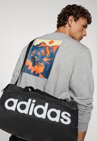 Grijze sweatshirt met een kleurrijke bergafbeelding op de achterkant; zwarte sporttas met een groot wit "adidas" logo op de voorgrond.