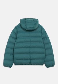 New Balance BOND QUILTED JACKET - Casaco de inverno - new spruce