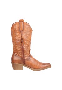 Bota de vaquero de cuero marrón con costuras decorativas, cierre de cremallera en el lateral y un tacón bajo y cuadrado. Textura suave y punta afilada.