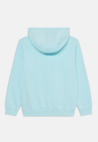 Hanorac cu glugă de culoare albastru deschis, fabricat dintr-un material moale, cu mansete ribbate și buzunar tip pouch. Vedere din spate, care evidențiază textura netedă și cusăturile.