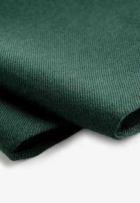 Next SET REGULAR FIT - Einstecktuch - forest green