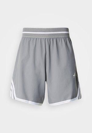 Graue Sportshorts mit einem atmungsaktiven Mesh-Bund, weißen Seitenstreifen und einem gestickten Logo auf der unteren Vorderseite.