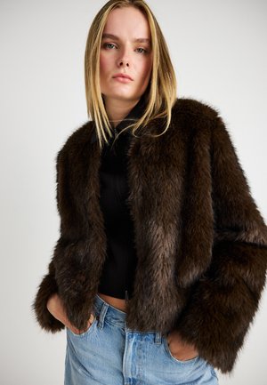 JACKET - Giacca invernale - dark brown