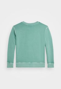 Světle zelená mikina s dlouhými rukávy a kulatým výstřihem. Obsahuje žebrované manžety a lem, vyrobena z měkké, texturované tkaniny.