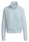 FIREBIRD TT  PB - Trainingsvest - almost blue