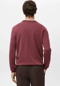 Bordowy sweter z długim rękawem wykonany z miękkiej tkaniny, z okrągłym dekoltem. Widok od tyłu pokazuje gładką teksturę i dopasowany krój.