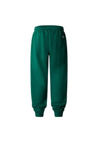 The North Face ESSENTIAL - Trainingsbroek - evergreen