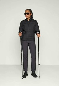 Black puffer jacket with a zip, gray pants, black shoes, and trekking poles. Sunglasses add a sporty detail. Smooth texture, fitted design.