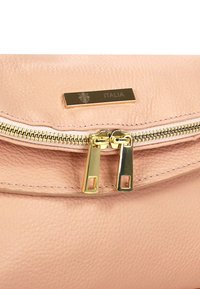 Zachte roze leren handtas met een gouden ritssluiting met twee metalen trekker en een gegraveerd gouden plaatje met de tekst "ITALIA." Gladde textuur, minimalistisch ontwerp.