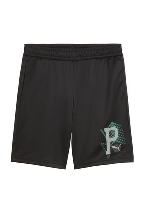 ACTIVE SPORTS  - Shorts - black