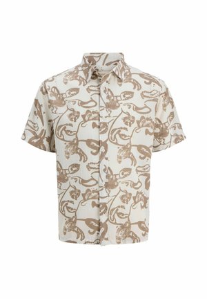 Nastolatek stoi, ubrany w beżowo-białą koszulę na krótki rękaw z nadrukiem i guzikami, khaki szorty, białe skarpety i białe tenisówki, uśmiechający się.