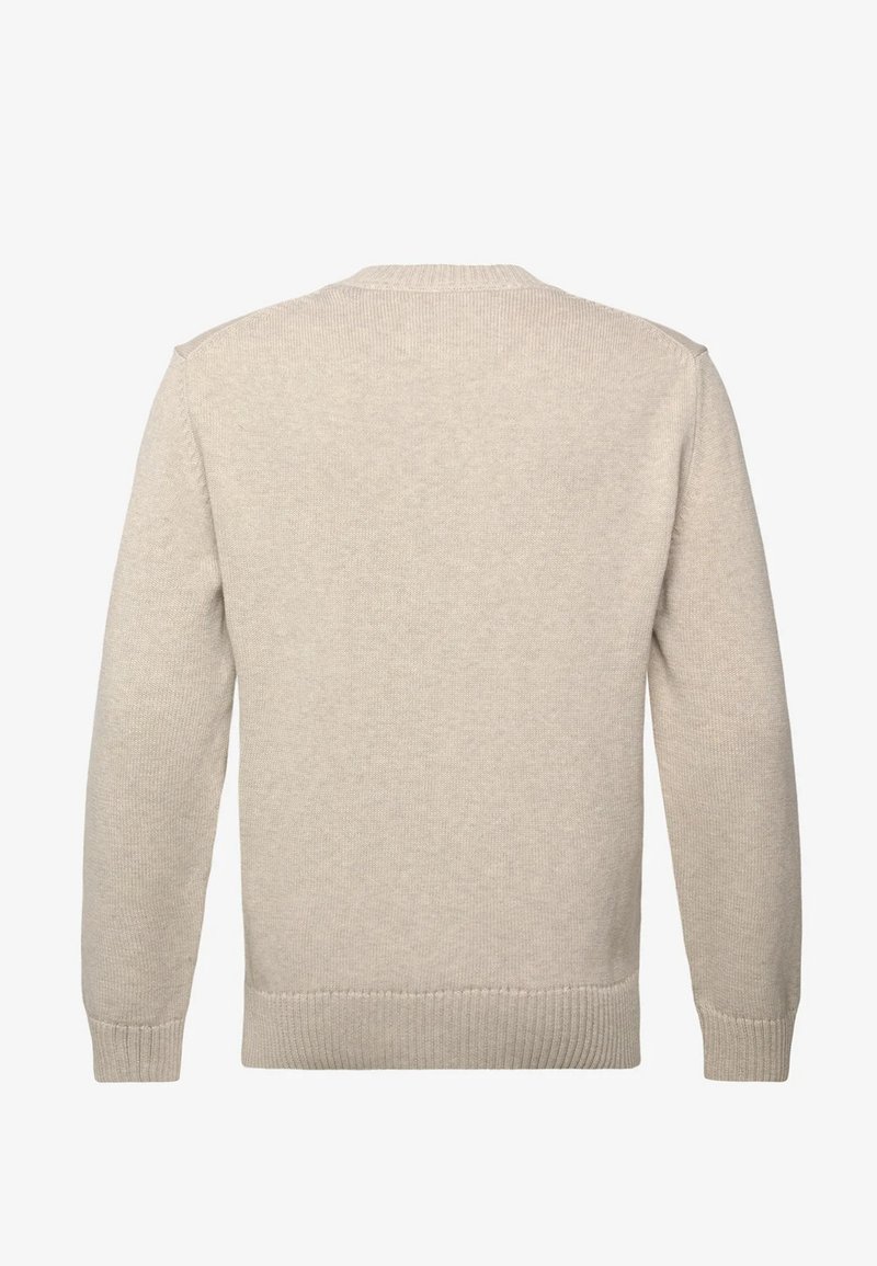 Maglione beige a maniche lunghe in maglia, mostrato da dietro con polsini, orlo e scollo a coste su sfondo bianco uniforme.