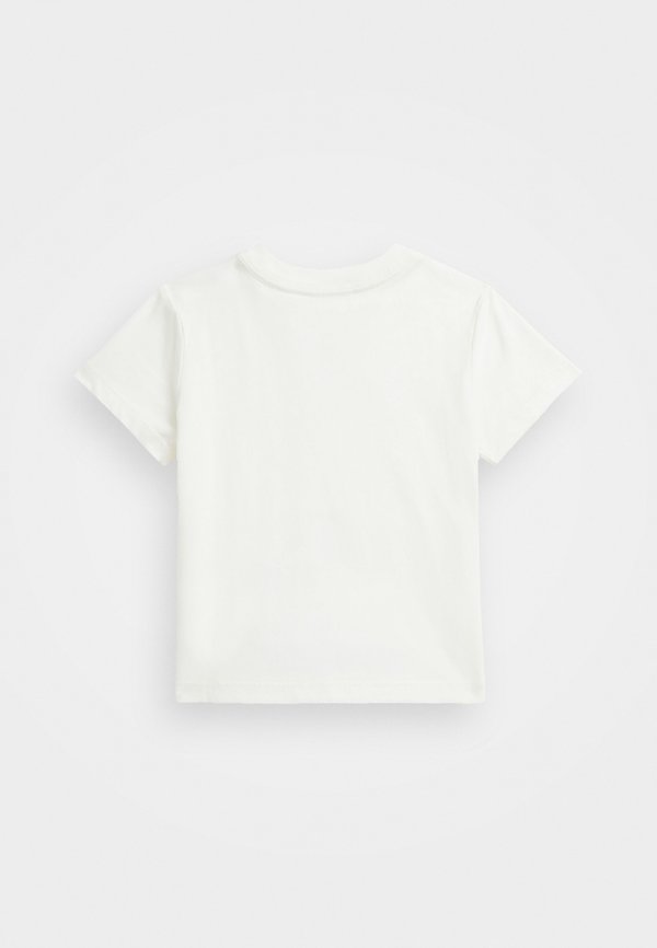 POLO BEAR COTTON JERSEY TEE - Print T-shirt - nevis2