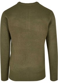 Pull en tricot vert olive avec manches longues, poignets et ourlet côtelés, vu de dos sur un fond uni.
