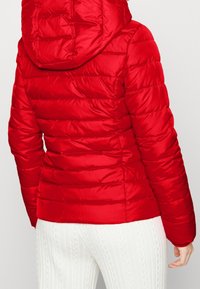 Červená péřová bunda s prošívaným designem, která má kapuci a lesklou texturu. Zadní pohled ukazuje přiléhavý siluetu a výrazné švy.