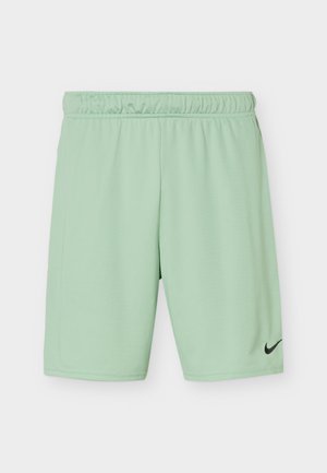 Ανοιχτό πράσινα αθλητικά σορτς με ελαστική μέση και μικρό μαύρο λογότυπο Nike στο κάτω δεξί πόδι.