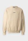 DAILY OVERSIZED CREWNECK UNISEX - Felpa - sand
