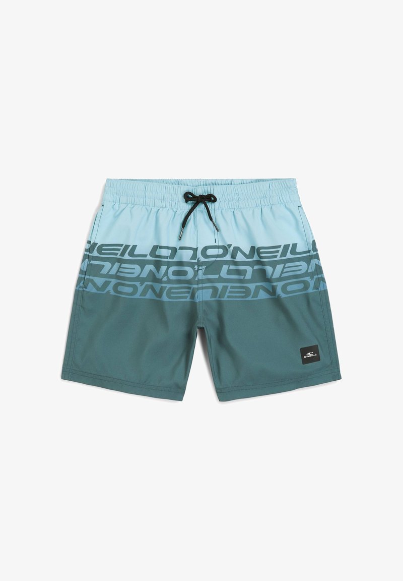 Šviesiai mėlyni ir žalios spalvos maudymosi šortai su juodu raišteliu, prekinio ženklo grafiniu spaudiniu ir tvirtu tamsiai žaliu intarpu.