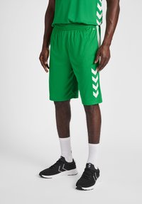 Shorts sportivi verdi con cintura elastica, caratterizzati da accenti a zig zag bianchi sui lati, abbinati a scarpe da ginnastica nere e calze bianche.