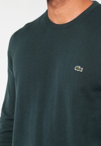 Mann trägt einen dunkelgrünen Langarm-Pullover mit Rundhalsausschnitt, der auf der linken Brust ein kleines gesticktes grünes Krokodil-Logo hat.