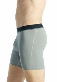 Grijze heren boxershorts met een zwarte tailleband, gemaakt van een gladde stof. Beschikt over een gestroomlijnd ontwerp en contrasterende stikseldetails.