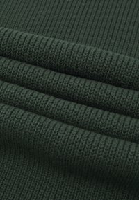 Levi's® BACK PATCH UNISEX - Sjal / Tørklæder - army green