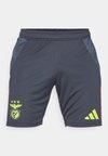 BENFICA LISSABON TRAINING SHORT - Pantaloncini sportivi - night grey/semi solar red