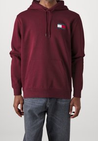 Felpa color bordeaux con un patch logo che presenta rettangoli rossi, bianchi e blu. Tessuto morbido, maniche lunghe e tasca a marsupio frontale.