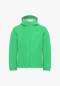 Unausgewählt, lizard