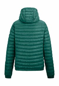 Veste matelassée verte à capuche avec coutures horizontales, manches longues et poignets élastiques, vue de dos sur fond blanc.