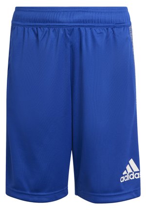 Shorts - blue