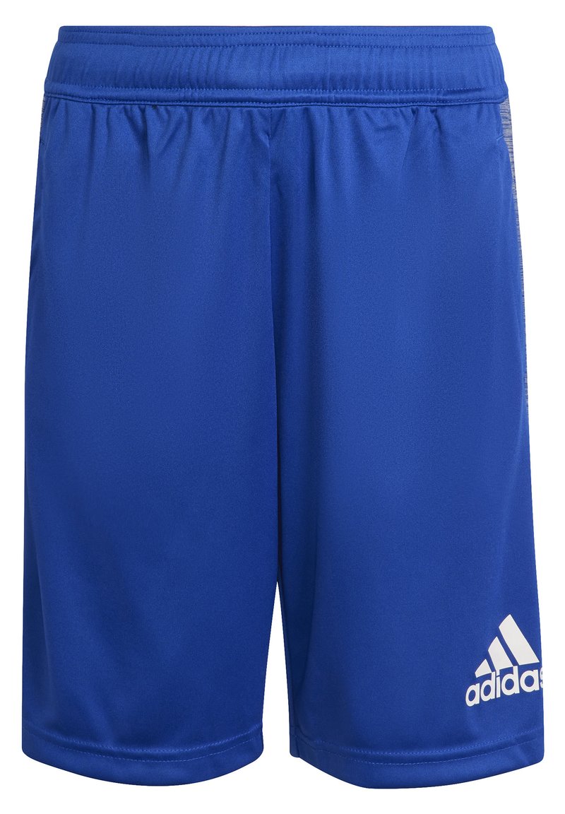 adidas Performance Shorts - blue