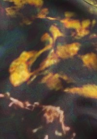 Tessuto multicolore caratterizzato da una combinazione di motivi gialli, verdi e marroni, con una texture liscia e un design fluido.