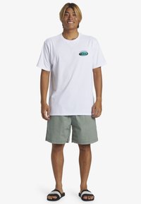 Quiksilver Shorts - glw
