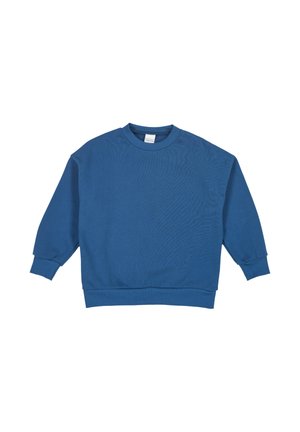 Maglione blu a girocollo realizzato in tessuto morbido. Presenta maniche lunghe, polsini e orlo a costine, e una texture semplice e liscia. Design classico.