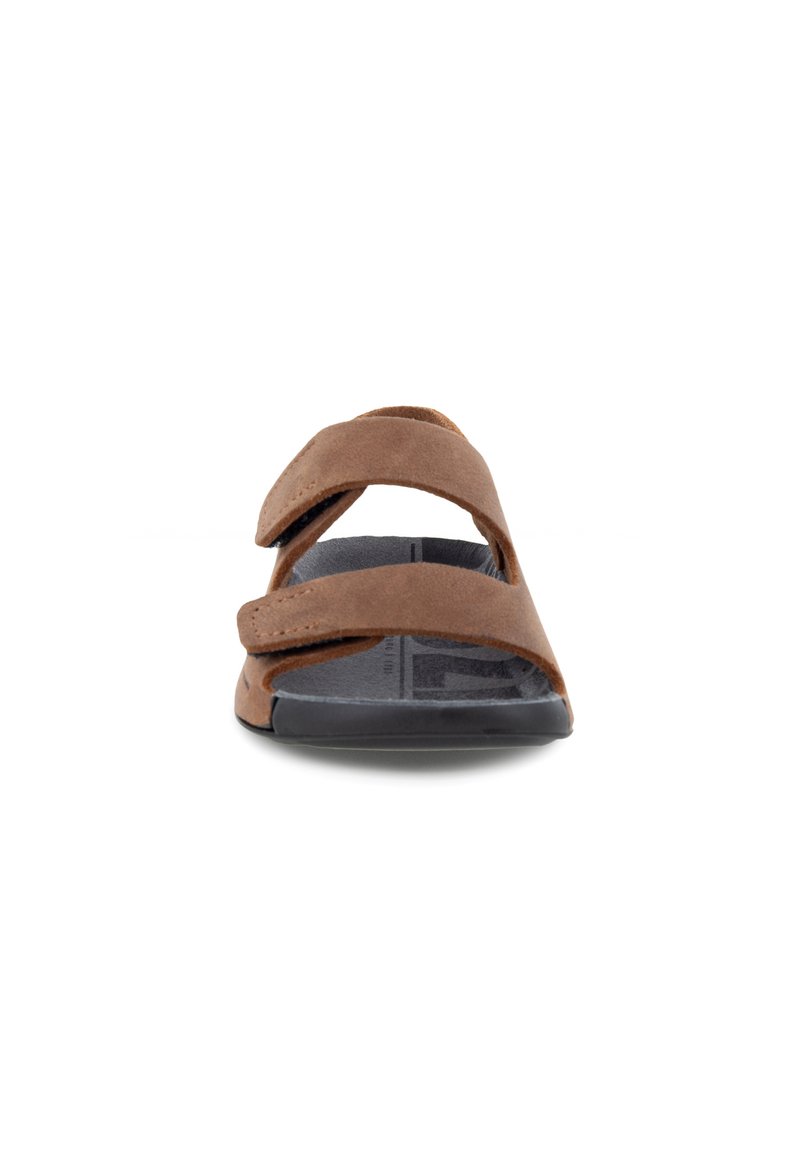 Kinder Riemchensandalen | ECCO COZMO Trekkingsandale brown/dunkelblau - WL65230 Kinder Riemchensandalen | ECCO COZMO Trekkingsandale brown/dunkelblau - WL65230