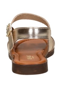 Braune flache Sandale mit gepolstertem Fußbett, metallic-goldenem Knöchelriemen und seitlicher Schnalle, von hinten auf weißem Hintergrund gezeigt.