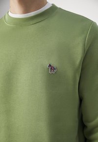 Gros plan d'une personne portant un sweat-shirt vert à col rond avec un petit patch zèbre coloré brodé sur la poitrine.