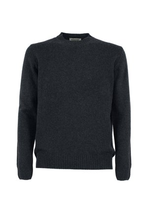 Donkergrijze wollen trui met lange mouwen, ronde hals, geribde manchetten en zoom, een gladde textuur en een klassieke pasvorm.