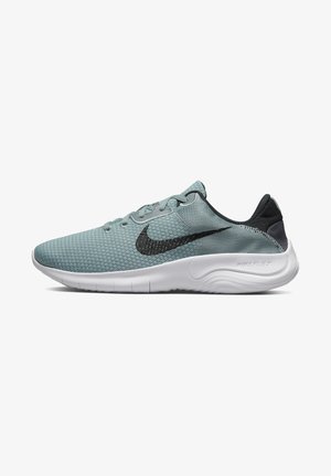 FLEX EXPERIENCE 11 - Neutral running shoes - aviator grey/black/mtlc silver