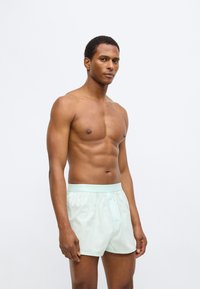 Ανοιχτό μέντας πράσινο ανδρικό μποξεράκι από μαλακό ύφασμα, με άνετη ελαστική μέση με λογότυπο, που παρουσιάζεται σε αρσενικό μοντέλο.