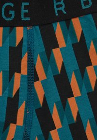 WE Fashion 5 PACK - Hlače - green blue